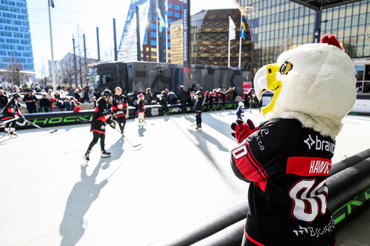 Malmö Redhawks maskot Hawkan