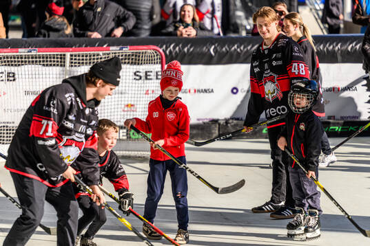 Malmö Redhawks Lauri Pajuniemi