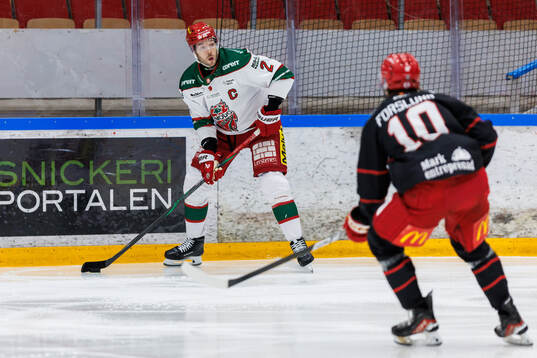 Bläddra bland fler bilder av Ishockey, Hockeyallsvenskan, Almtuna - Modo