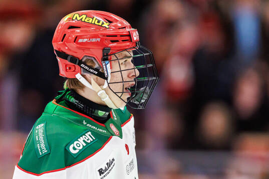 Modos Malcom Gästrin