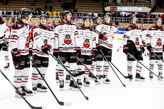 Nybro Vikings spelarna jublar