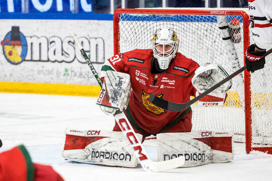 Under ishockeymatchen i Hockeyallsvenskan mellan Mora och