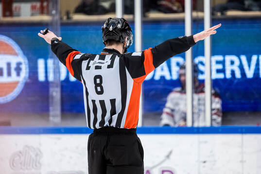 Domare Oscar Niklasson