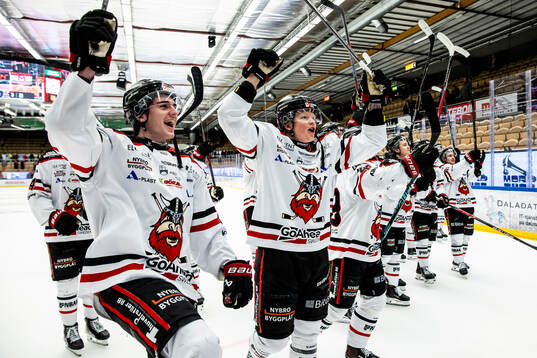Nybro Vikings spelarna jublar