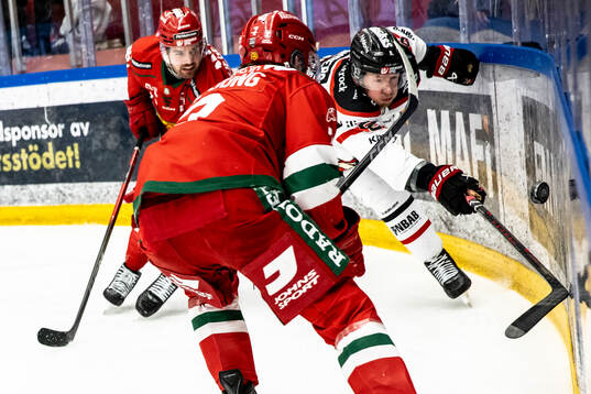 Nybro Vikings Fredrik Granberg