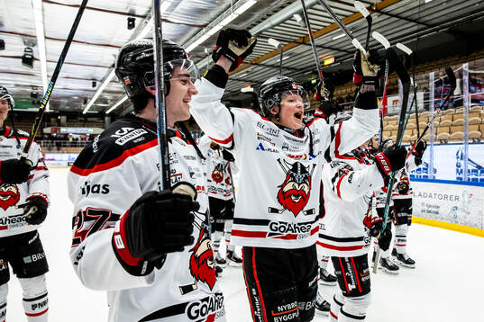 Nybro Vikings spelarna jublar