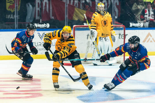 Skellefteås Arvid Lundberg och Malmö Redhawks Robin Hanzl