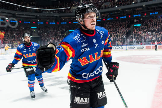 Malmö Redhawks Linus Öberg jublar