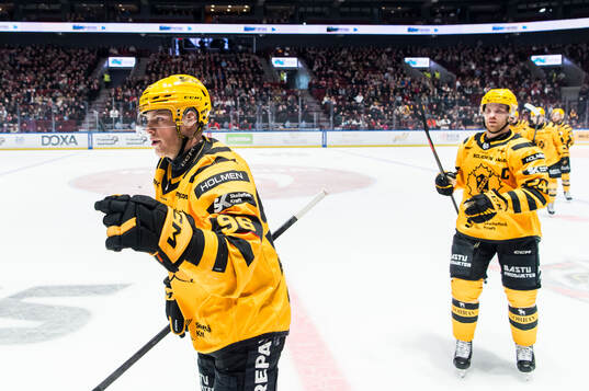 Skellefteås Rickard Hugg jublar
