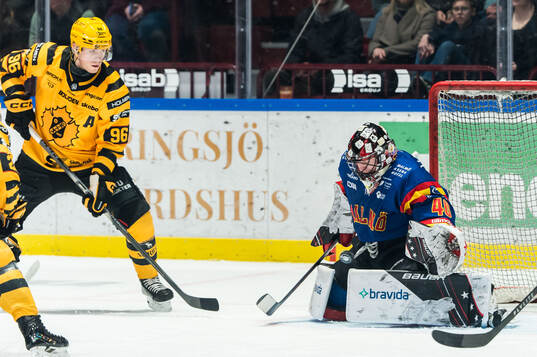 Skellefteås Rickard Hugg och Malmö Redhawks målvakt