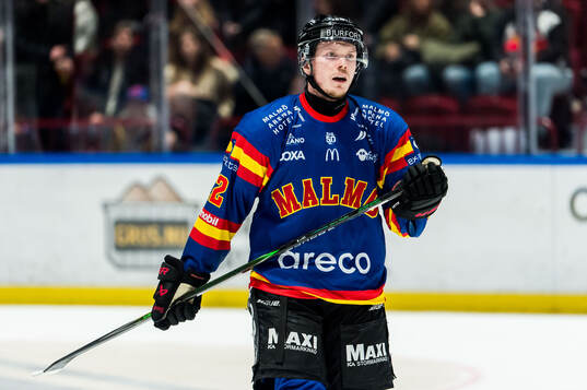 Malmö Redhawks Linus Öberg deppar