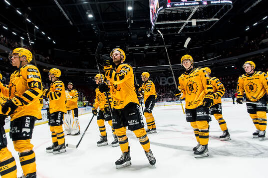 Skellefteås spelare jublar