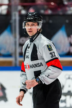 Domare Johan Wedin