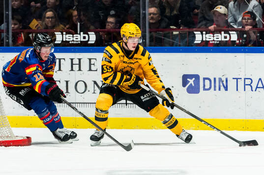 Malmö Redhawks Petter Vesterheim och Skellefteås Zeb