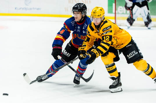 Malmö Redhawks Martin Schreiber och Skellefteås Valter
