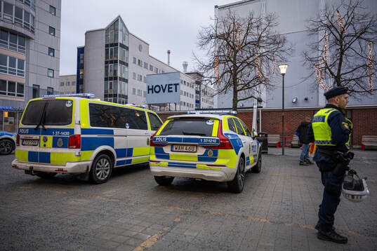 Polisbilar utanför Hovet
