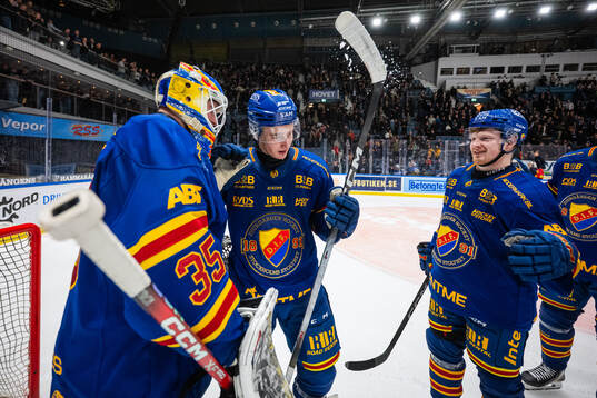 Djurgårdens målvakt Magnus Hellberg jublar med Theo