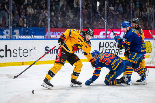 Luleås Jesper Sellgren