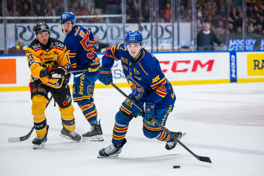 Djurgårdens Håvard Salsten