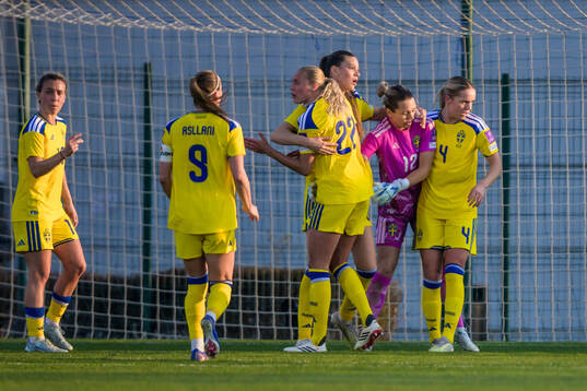 goalkeeper Jennifer Falk of Sweden