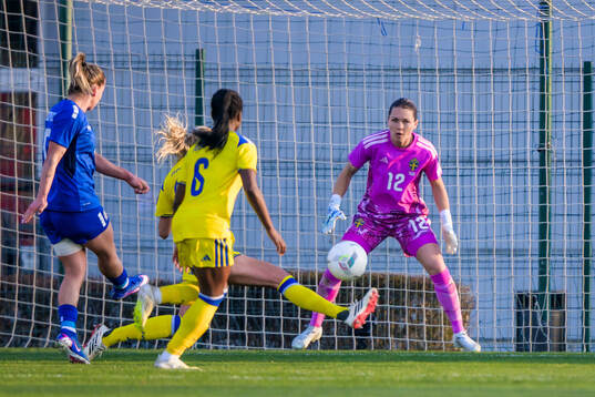 goalkeeper Jennifer Falk of Sweden and Jelena Canković of