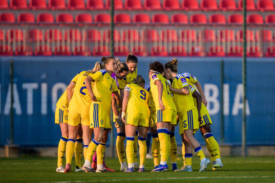 Players of Sweden