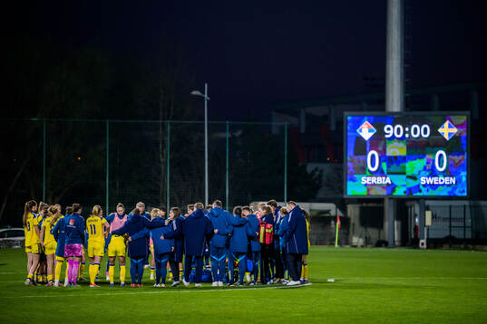 Player of Sweden gather