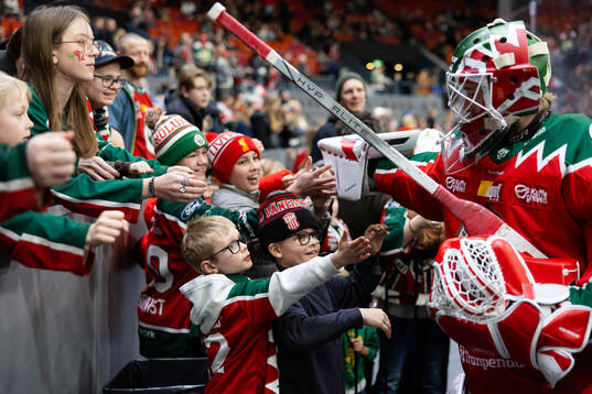 Bläddra bland fler bilder av Ishockey, SHL, Frölunda - Timrå