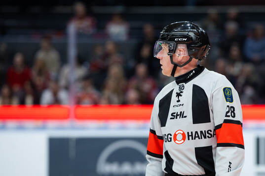 Domare Mikael Holm