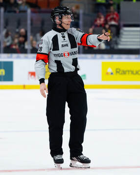 Domare Mikael Holm