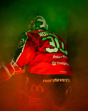Frölundas målvakt Tobias Normann