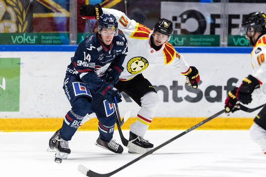 Linköpings Loke Krantz och Brynäs Mattias Norlinder