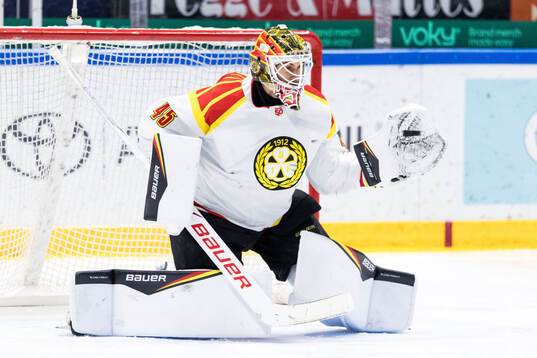 Brynäs målvakt Damian Clara
