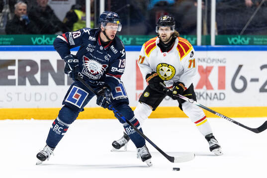 Linköpings Jakub Vrana och Brynäs Axel Jonsson-Fjällby
