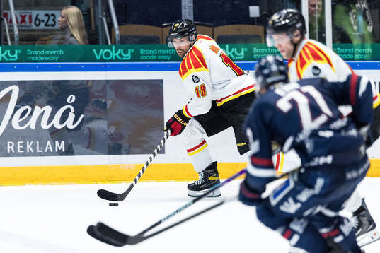 Brynäs Anton Rödin