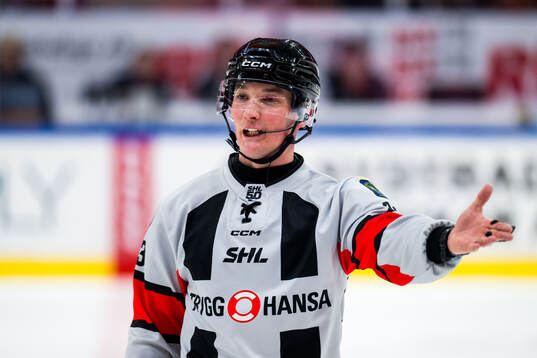 Domare Alexander Österberg