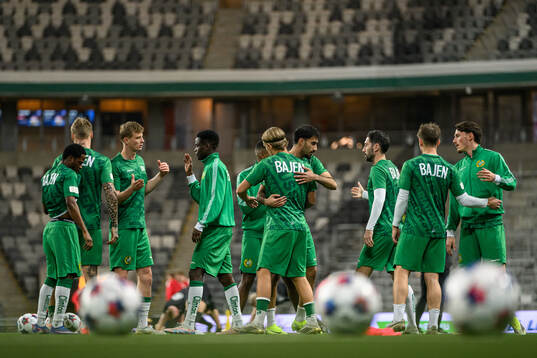 Hammarbys spelare