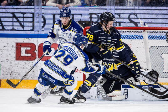 HV71s Malte Gustafsson