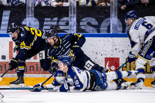 HV71s Hampus Eriksson och William Ignberg Nilsson och