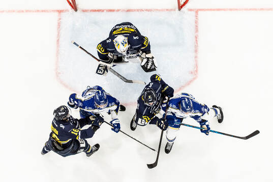 HV71s målvakt Felix Sandström och Linus Lindström och
