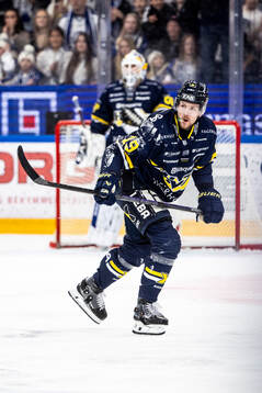 HV71s Niklas Hansson