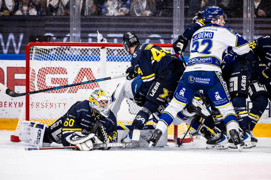 HV71s målvakt Felix Sandström