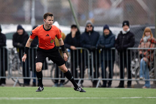 Domare Niclas Karlsson