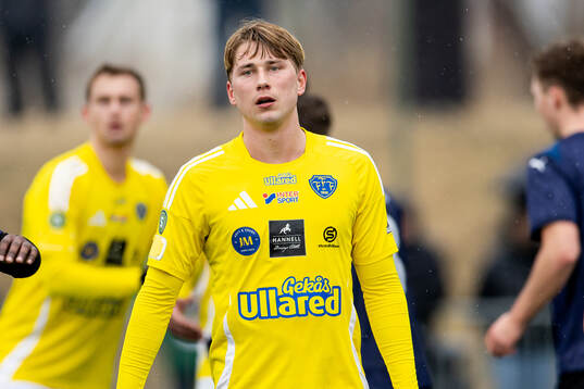 Falkenbergs Gabriel Johansson