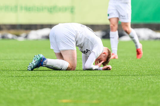 Helsingborgs William Westerlund