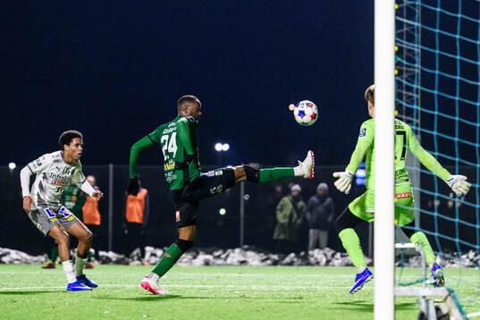 Varbergs Shanyder Borgelin