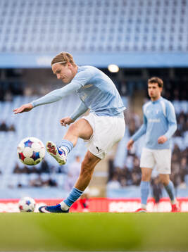 Malmö FFs Erik Botheim