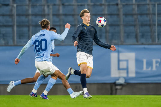 Malmö FFs Erik Botheim och Halmstads Ludvig Arvidsson
