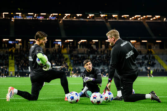Häckens målvakt Kristan Marinkovic och målvakt David