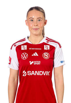 Sandvikens sanna berglund
